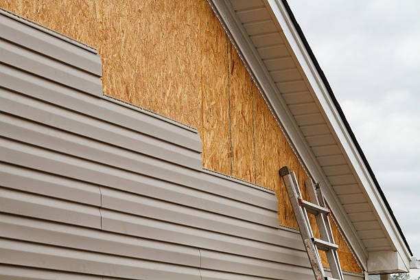 Professional Siding Repair technician working in Anna, OH